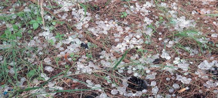 Τρελάθηκε ο καιρός: Χαλάζι στη Μακεδονία- Στα… λευκά η Χαλκιδική (βίντεο)